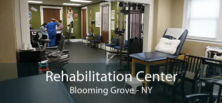 Rehabilitation Center Blooming Grove - NY