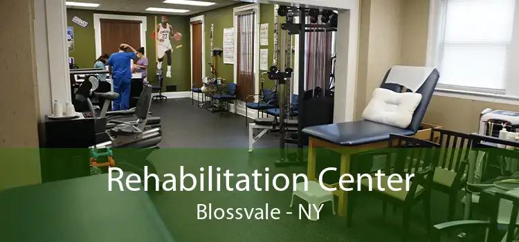 Rehabilitation Center Blossvale - NY