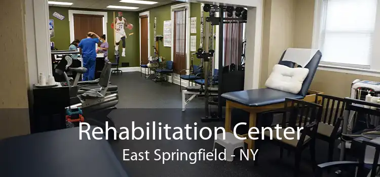 Rehabilitation Center East Springfield - NY