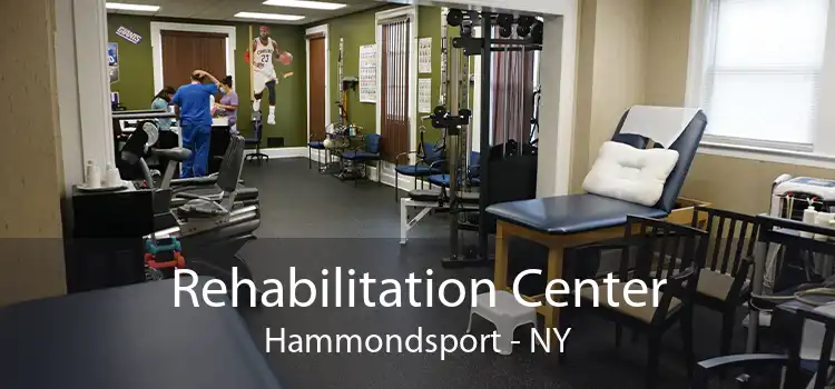 Rehabilitation Center Hammondsport - NY