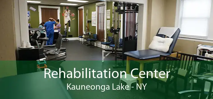 Rehabilitation Center Kauneonga Lake - NY