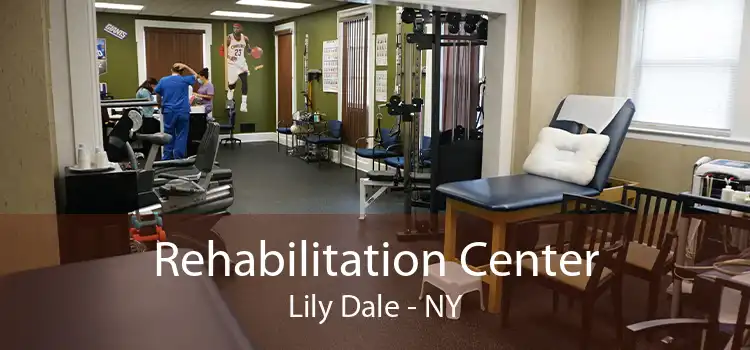 Rehabilitation Center Lily Dale - NY