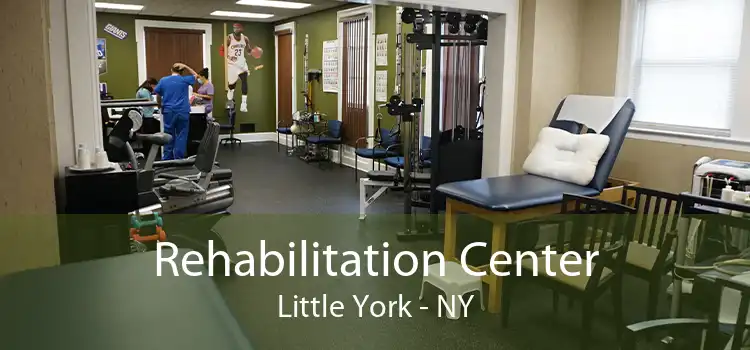 Rehabilitation Center Little York - NY