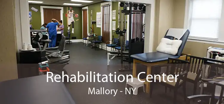 Rehabilitation Center Mallory - NY