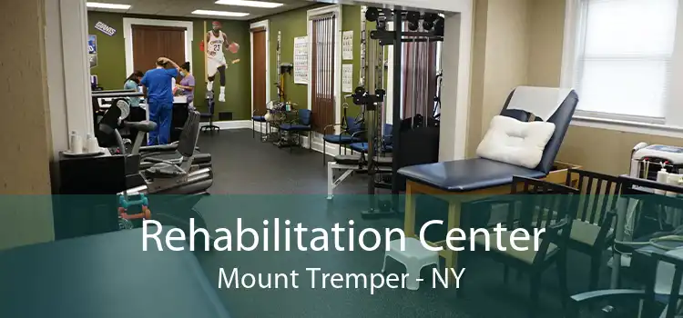 Rehabilitation Center Mount Tremper - NY