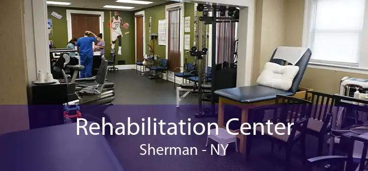 Rehabilitation Center Sherman - NY