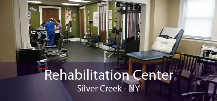 Rehabilitation Center Silver Creek - NY