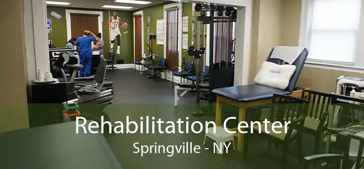 Rehabilitation Center Springville - NY