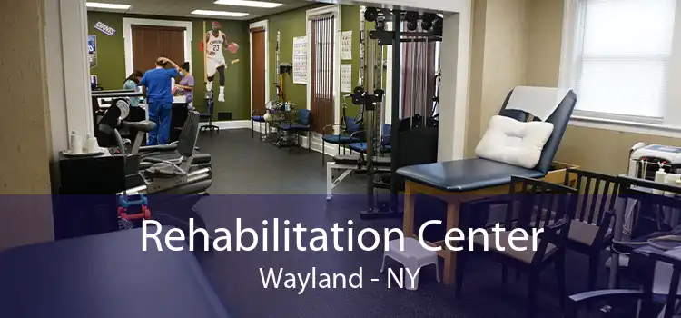 Rehabilitation Center Wayland - NY
