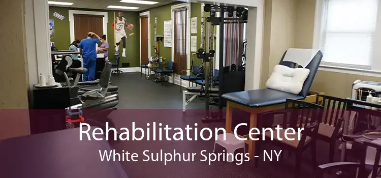 Rehabilitation Center White Sulphur Springs - NY